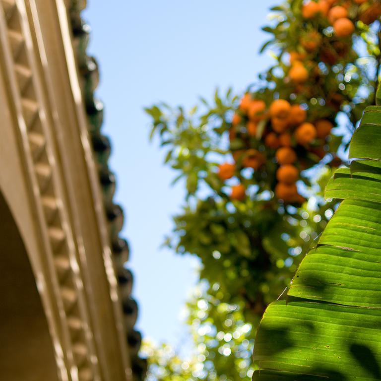Riad La Maison D'à Côté Meknès Esterno foto